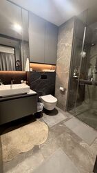 Irwell Hill Residences (D9), Apartment #566561881